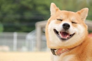 ☆初詣☆